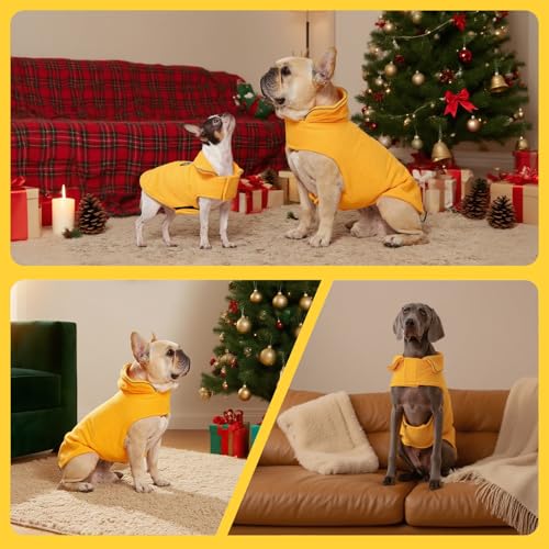 DENTRUN Reversible Dog Winter Coat, Windproof Polar Fleece Reflective Vest - color: Yellow, size: Small