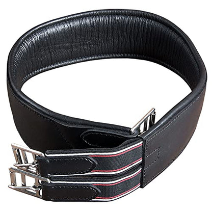 HILASON Padded Leather Horse English Saddle Girth Cinch Roller Buckles | Strap for Horses Back Western - size: 38"