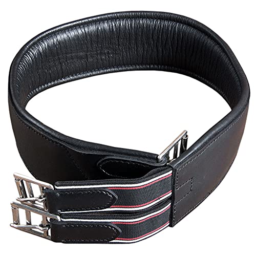 HILASON Padded Leather Horse English Saddle Girth Cinch Roller Buckles | Strap for Horses Back Western - size: 42"