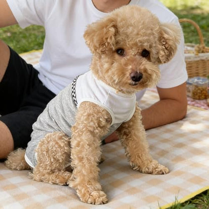 Dog Surgical Suit - Recovery Onesie for Dogs After Surgery, Spayed Female/Male Puppy, Breathable Anti-Lick Clothes, Alternative to Cone(Grey and White-XXS) - color: grey and white, size: XX-Small