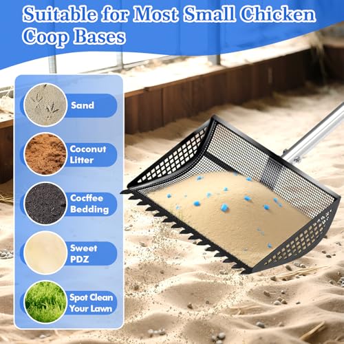 Chicken Poop Scooper Rake 2-in-1,304 Stainless Steel Shovel Head, Chicken Litter Scoop with Handle for Chicken Coop for Sand, Pet Waste Cleaning, Litter Sifting Shovel (35 to 65") (Black, 12inch) - color: Black