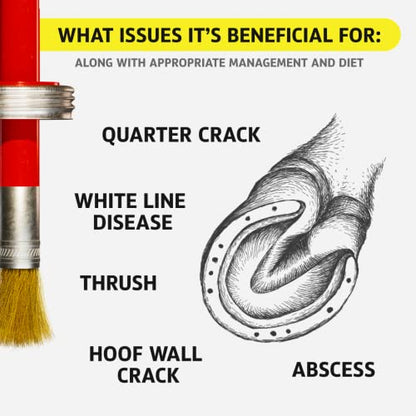 Equine One Natural Hoof Mender - 100% All-Natural Hoof Care Product - Abscesses || Thrush || White Line || Quarter Crack (Gallon) - size: Gallon