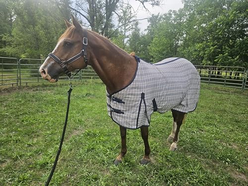 Navy Beige Plaid Horse Stable Sheet with Front Gussets, Lightweight Polyester Sheet for Horses, Travel, Stable & Show Use (Navy Beige Plaid, 76") - size: 76"