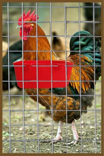 5 Pack Cage Cups Chicken Birds Feeder Water Bowl 25 OZ Rabbit Feeding Watering Dish for Travel Carrier Cat Puppy Food Dispenser Hanging Wire Cages Treats Box Seed Drinking Coop Cup Birdbath - size: Red 25 OZ Pack of 5