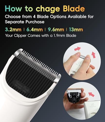 Dog Grooming Clippers for Thick Heavy Coats 3 Speeds Low Noise Pet Grooming Kit Cat Eletric Clipper with 10FC Ceramic & Stainless Steel Blade - color: White, size: Clipper