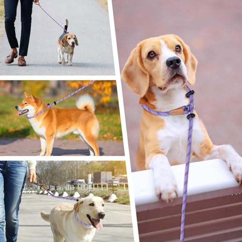 lynxking Dog Leash 3/8in x 6ft Slip Lead Reflective Pink and Purple, 2 Pack