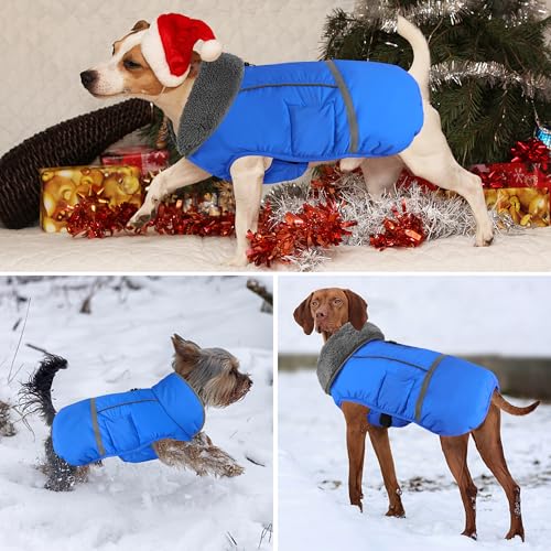 Dogcheer Warm Dog Coat, Waterproof Dog Jacket Christmas Puppy Winter Coat with Buckle, Reflective Adjustable Pet Snow Jacket Turtleneck Fleece Sweater for Small Medium Large Dogs - Blue, S - color: Blue, size: Small