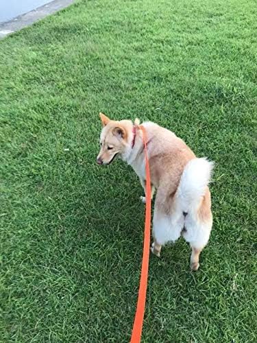 AMAGOOD Dog/Puppy Obedience Recall Training Agility Lead-15 ft 20 ft 30 ft 50 ft Long Leash-for Dog Training,Tie Out,Play,Safety,Camping (15Feet x 1Inch, Blue) - color: Blue, size: 1 Inch x 15 Feet