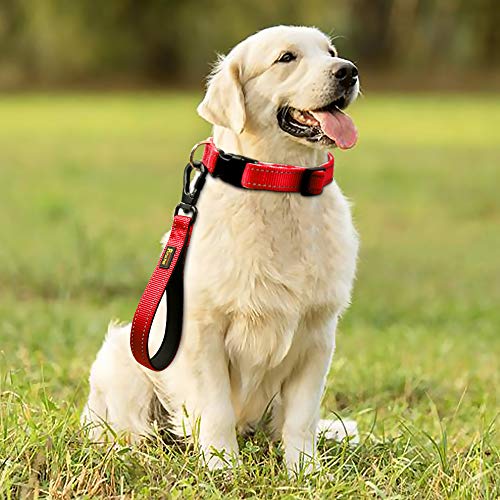 PLUTUS PET 10” Short Dog Leash, Reflective Nylon Padded Handle, Strong Traffic Leash with Carabiner Clip, Perfect for Large or Medium Dogs（10”，Red | Reflective, Heavy Duty Strong Nylon, Traffic Leash with Carabiner Clip for Training Walking (10", Red) - c