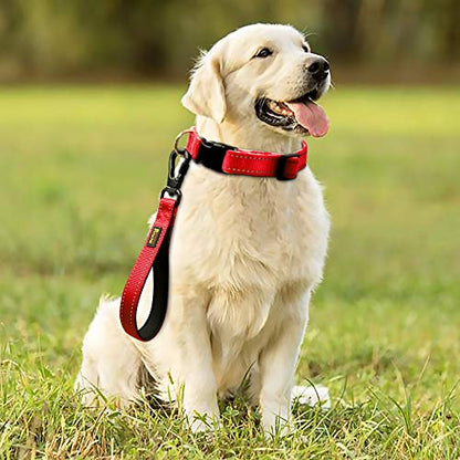 PLUTUS PET 10” Short Dog Leash, Reflective Nylon Padded Handle, Strong Traffic Leash with Carabiner Clip, Perfect for Large or Medium Dogs（10”，Red | Reflective, Heavy Duty Strong Nylon, Traffic Leash with Carabiner Clip for Training Walking (10", Red) - c