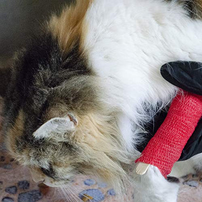 Emergency Zone Pet First Aid Kit. Prepare Your Cat for Hurricanes, Earthquakes, Wildfires, etc.