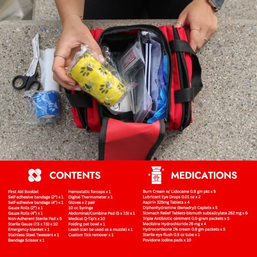 Cat & Dog First Aid Kit with Thermometer & Bandages (Small) - size: Small