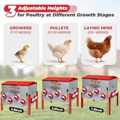 Automatic Chicken Feeder 100LBS Large Capacity, 12 Anti-Waste Ports Metal Poultry Feeder with Height Adjustable Stand, Waterproof Rodent Proof Feed Box with Lid Viewing Window for Hens Ducks Geese - size: 100LBS