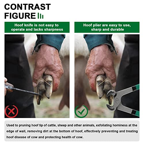 Goats Hoof Nipper 8" Carbon Steel Farrier Tool Multi-Purpose Hoof Trimmers with Plastic Grips for Cattle Sheeps Horses