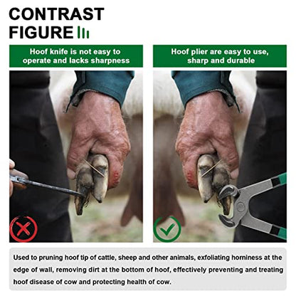 Goats Hoof Nipper 8" Carbon Steel Farrier Tool Multi-Purpose Hoof Trimmers with Plastic Grips for Cattle Sheeps Horses