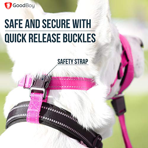 GoodBoy Dog Head Halter with Safety Strap - Stops Heavy Pulling On The Leash - Padded Headcollar for Small Medium and Large Dog Sizes - Head Collar Training Guide Included (Size 4, Pink Nylon) - color: Pink Nylon / Black Padding, size: Size 4 (Pack of 1)