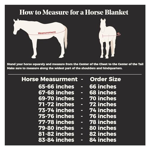 Dura-Tech Viking Horse Turnout Sheet | Open Front with 2 Buckle | Waterproof, Windproof & Breathable Blanket | Criss-Cross Surcingle | Winter Horse Blanket - size: Horse Size 76, style: Sheet (no insulation)