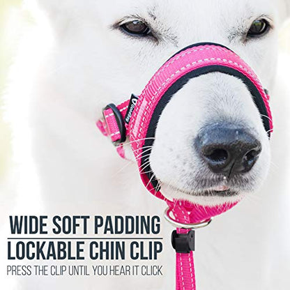 GoodBoy Dog Head Halter with Safety Strap - Stops Heavy Pulling On The Leash - Padded Headcollar for Small Medium and Large Dog Sizes - Head Collar Training Guide Included (Size 2, Pink Nylon) - color: Pink Nylon / Black Padding, size: Size 2 (Pack of 1)