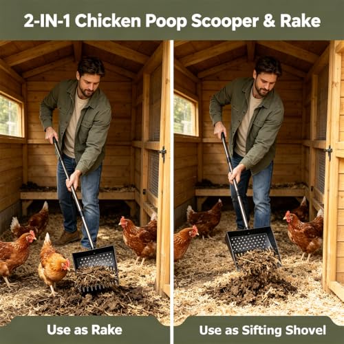 2-in-1 Chicken Poop Scooper & Rake, Telescopic Stainless Steel Handle, Multifunctional Chicken Coop Cleaner for Sand, Bedding and Manure Cleaning