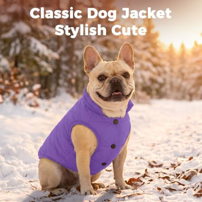 JoyDaog Fleece Lined Dog Jacket for Small Dogs,Winter Dog Coat,Purple M - color: Purple, size: Medium