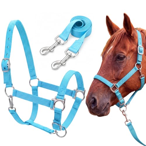 2 Pack Nylon Horse Halter with Reins Adjustable | Training, Show, Pony, Padded, Reinforced, Brass Snap, Equine Stable Supply - color: Turquoise