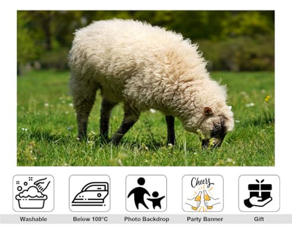 5x3ft Fluffy White Wool Sheep Backdrop Lush Green Grass Pasture Sunny Outdoor Photography Background Tapestry for Country Farm Party Decorations Photo Booth Props - size: 5x3ft