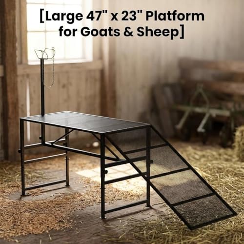 Goat Milking Stand, 900 lb Heavy Duty Iron Goat Stand with Collapsible Ramp and Height Adjustable 47"x23" Platform for Farm Barn Grooming and Daily Livestock Care