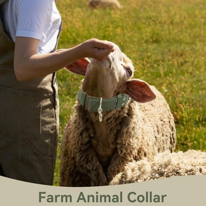 Sheep Collar, Non-Slip Nylon Adjustable Goat Collar Livestock Neck Strap for Farm Ranch Calf Goat Cow Horse Sheep Small Animal Accessories, Total Length 30in (L) - size: L