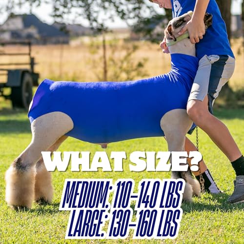 Show Pro Blue Spandex Lamb Tube for Show Sheep & Lamb - Show Livestock Supplies: Sheep Covers & Blankets - size: Medium