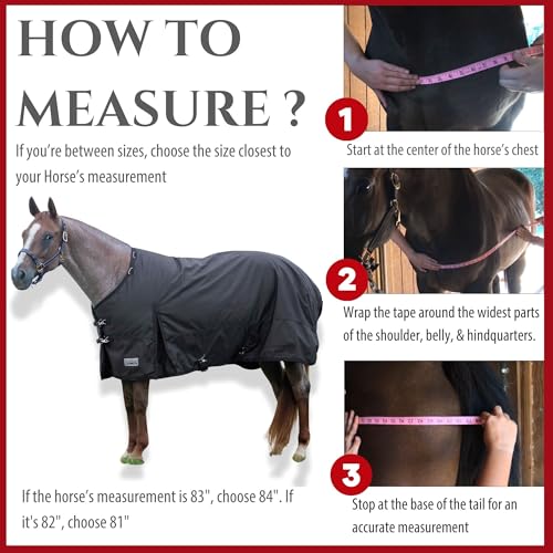 Jeffers Romper Stomper Horse Turnout Blanket, 1680D, 360g Fill, Brown - 75" - size: 75"