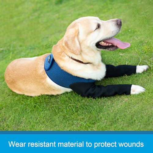Coodeo Dog Recovery Sleeves, Cone Collar Alternative, Abrasion Resistant Dog Recovery Suit, Washable 2.5mm Thick and Waterproof, Pet Wounds Prevent Licking, Biting (Blue, M) - color: Blue, size: M
