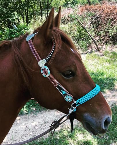 side pull hackamore bitless bridle attachment neon turquoise horse tack