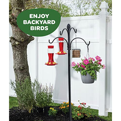 Glass Hummingbird Feeder 10oz [Set of 2] Ant Guard & Wide Mouth Leakproof - size: 10 oz - 2 Pack