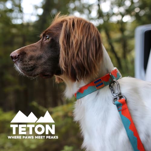Charlie’s Backyard Teton Dog Collar, Urban to Trail Lightweight & Adjustable with Quick Release DURAFLEX Buckle, Durable D-Ring & All-Day Comfort, Sunset Peaks, Small - color: Sunset Peaks, size: Small