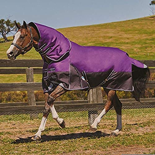 Weatherbeeta ComFiTec Plus Dynamic Detach-A-Neck Lite