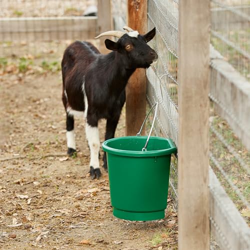 Farm Innovators 3 Gallon Flat Back Plastic Heated Bucket with Metal Handle, Built in Thermostat, and Hidden Cord Compartment, Green, 70 Watt (2 Pack) - size: 2 Pack