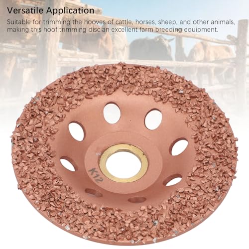 Goat Hoof Trimmers, Horse Hoof Trimming Tools, HL Q7DMP Livestock Hoof Trimming Disc Ti Plated Hoof Trimming Grinding Wheel Plate Hooves Repair Tool for Cattle Horses
