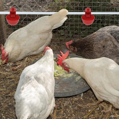 Wontee Chicken Waterer Cups 10PCS Automatic Poultry Water Feeder for Chicks Turkeys Ducks Goose Quail