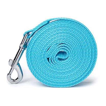 Strong Durable Nylon Dog Training Leash, 1 Inch Wide Traction Rope, 10 ft Long, for Small and Medium Dog (Mint Blue, 10 Feet) - color: Mint blue, size: 10 Feet