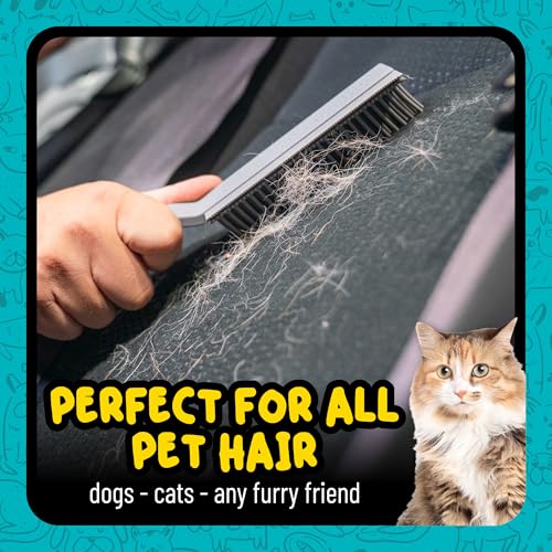 Chemical Guys, Multi-Surface Pet Hair Removal Brush for Upholstery & Carpet