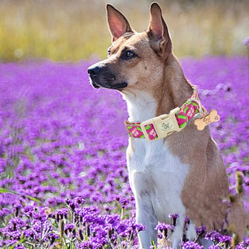 Elegant little tail Dog Collar, Dill Pickle Print Pink Puppy Male Adjustable Cotton Pet Collar with Quick Release Buckle for Small Medium Large Dogs - color: Pink Dill Pickles, size: X-Small (Pack of 1)