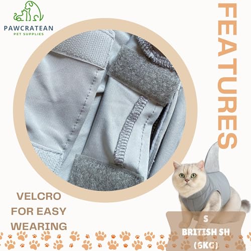 Pet Custom Dog Custom Cat Custom Hoodie, Sporty Look, Funny Gift, Halloween Holiday (Shark with Standing Fin, Small) - color: Shark with Standing Fin, size: Small