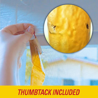 PIC FR10B 69060216325 Fly Ribbons Fruit Fly Traps for Indoors and Outdoors, Bug Trap for Winged Insects, Set of 10