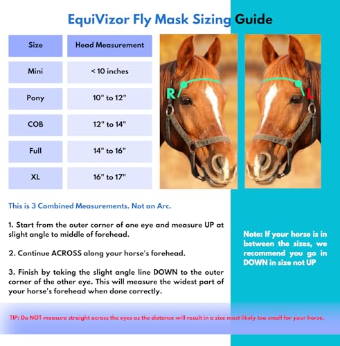 EquiVizor 95% UV Eye Protection (Mini) Horse Fly Mask with Ears/Nose. Helps with Uveitis, Corneal Ulcer, Light Sensitive. Designed to Stay On Your Horse, Off The Ground. - size: Mini