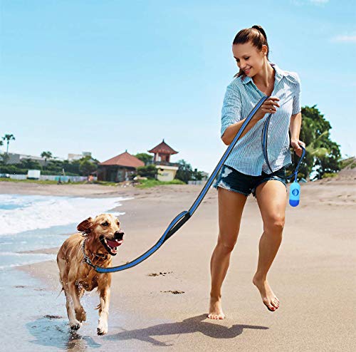 JSXD Heavy Duty Double Handle Dog Leash - 5 FT with Comfortable Padded and Reflective Rope, Suitable for Small, Medium, Large Dogs (Wide-Blue) - color: Wide-Blue