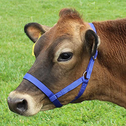 Derby Originals Adjustable Nylon Livestock Cattle Halters - color: Red, size: X-Large (1400-2000+lbs)