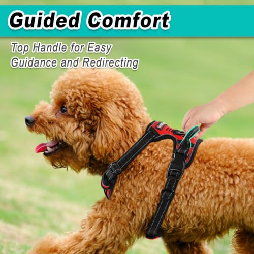 BARKBAY Dog Harness for Small Sized Dog No Pull 2 Leash Clips Dog Vest - color: Red, size: X-Small