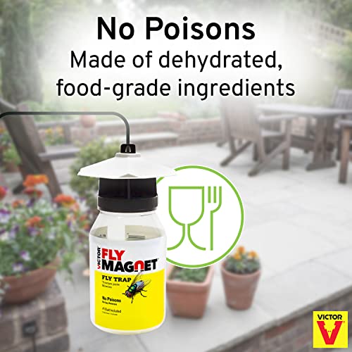 Terro T380 Outdoor Reusable Fly Magnet Fly Trap - Poison Free Trap with Bait (Pack of 2)