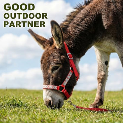 1 Set Mini Donkey Halter with Lead Rope Adjust, Red | Nylon Head Collar, Cute and Stylish, for Miniature Donkey and Small Equines, Farm Ranch Pasture Outdoor, Gingham Plaid Trim - color: Red