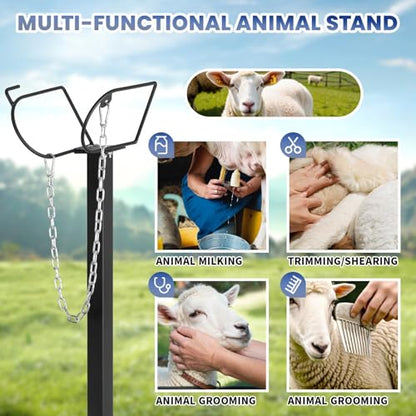 Goat Milking Stand, Metal Sheep Stand with 500lbs Capacity, Adjustable Height 20-32 Inch Goat Stand for Sheep Trimming and Milking, Hoof Stand for Goats and Lambs